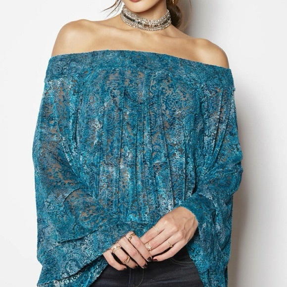 Free People Tops - Free People Ginger Berry Sheer Top Burnout Velvet Women’s Medium Midnight Lagoon